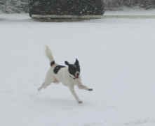pix_021