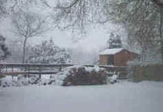snow_5dec02_small4