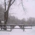 SNOWY_PADDOCKS