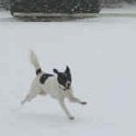 pix_021
