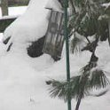 pix_043