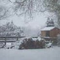snow_5dec02_small4