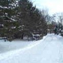 snow_driveway_small4