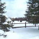 snow_trees_small4