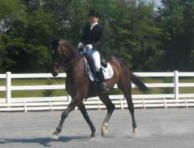 Training at Blue Spruce Dressage Farm